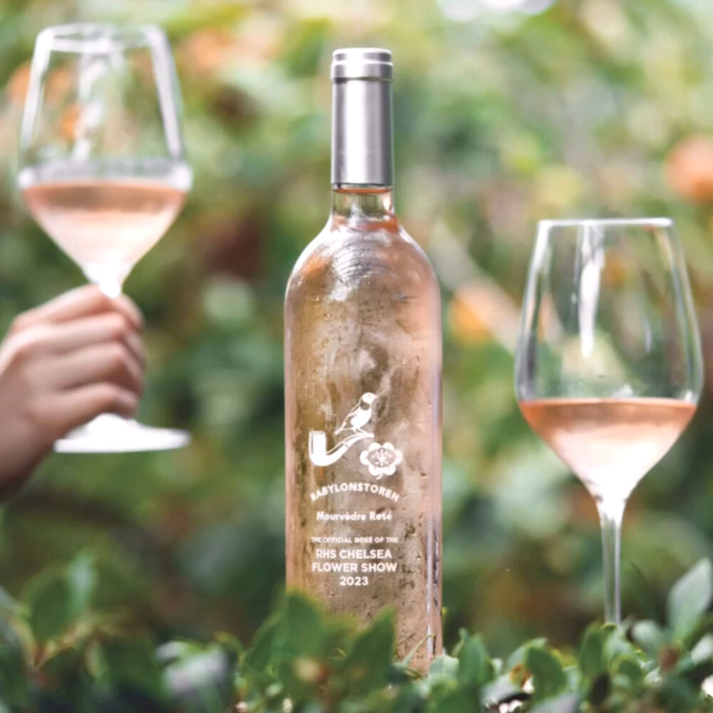 The results The results