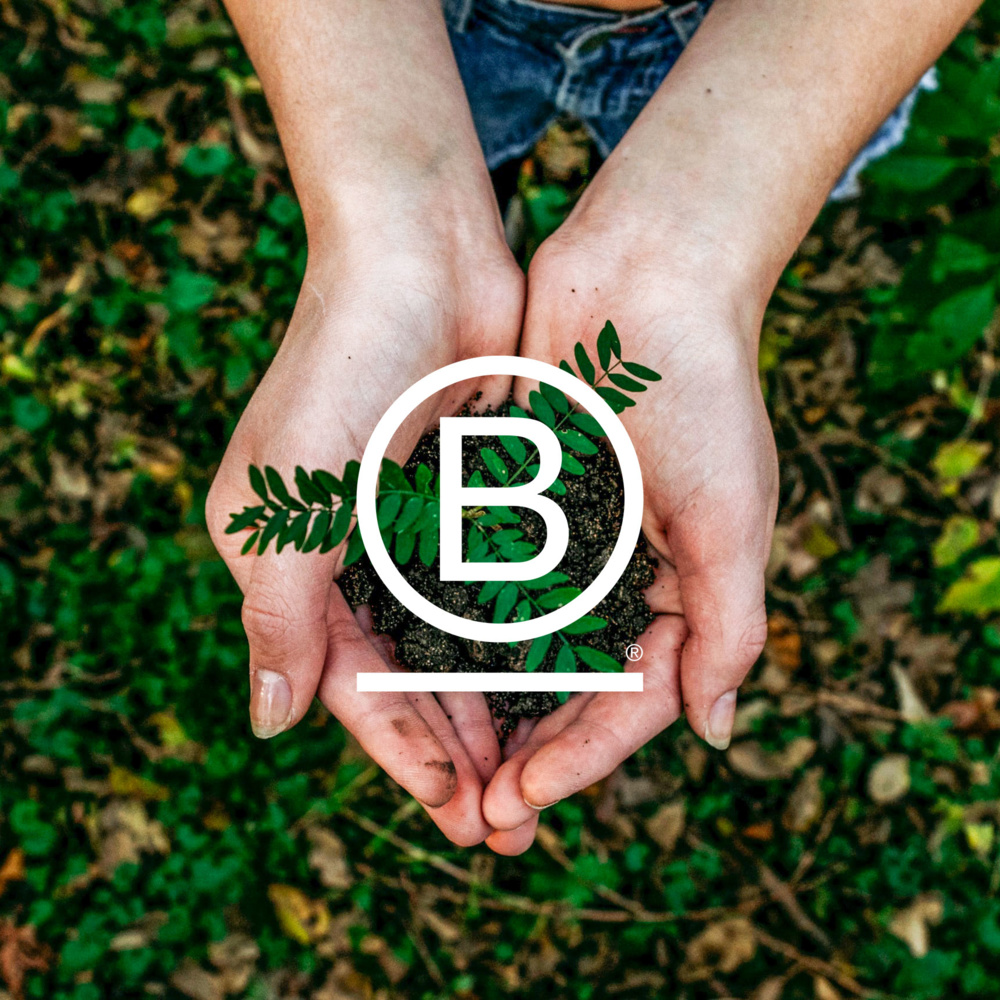 Sustainability B-Corp