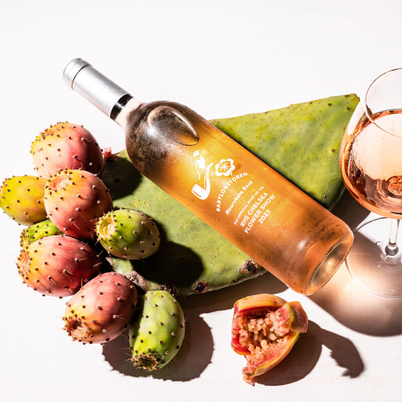 CircleGallery(3) CircleGallery(3)